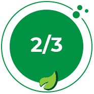 Sustainability in the Last Mile: A 2021 Snapshot by Forrester